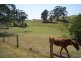Narooma NSW 2546