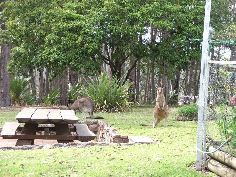 Narooma NSW 2546
