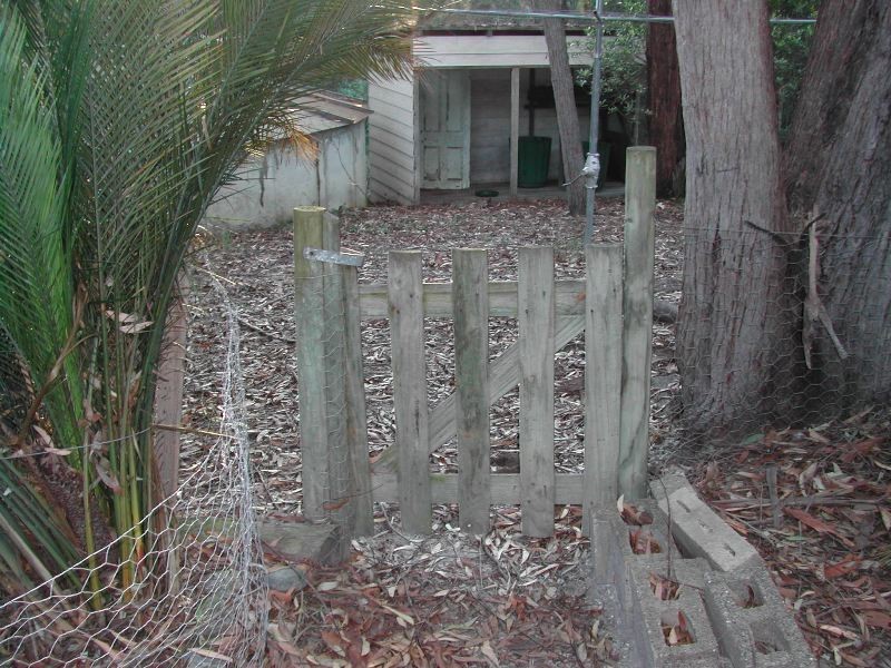 Lilli Pilli NSW 2536