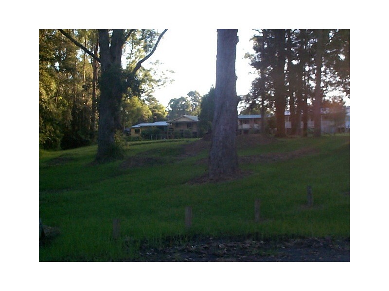 Fishermans Paradise NSW 2539