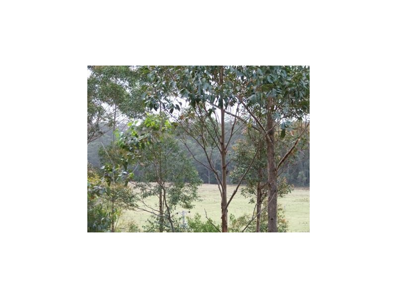 Jerrawangala NSW 2540