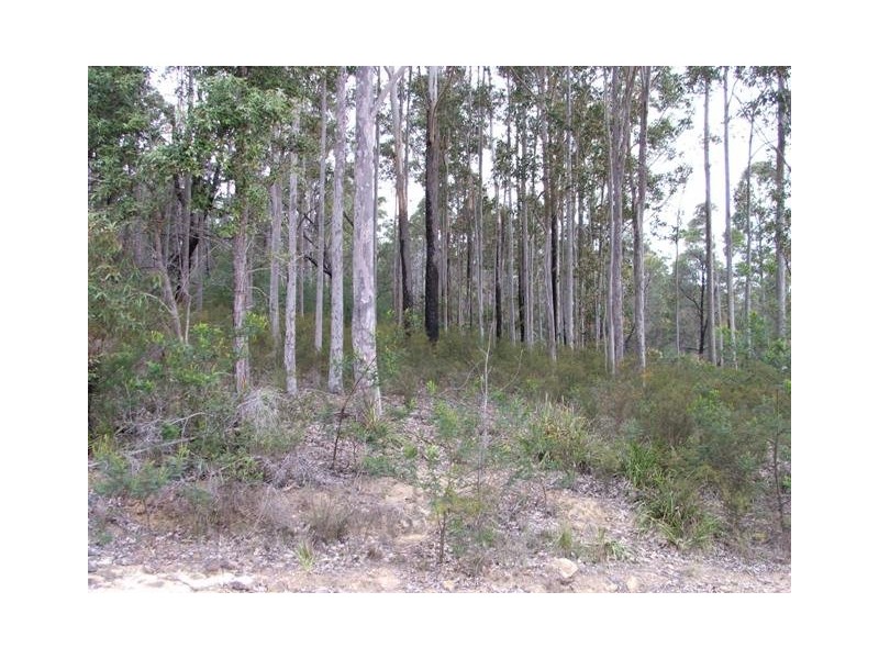 Jerrawangala NSW 2540