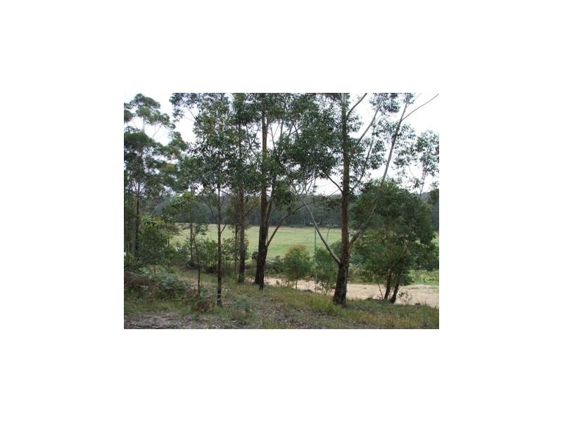 Jerrawangala NSW 2540