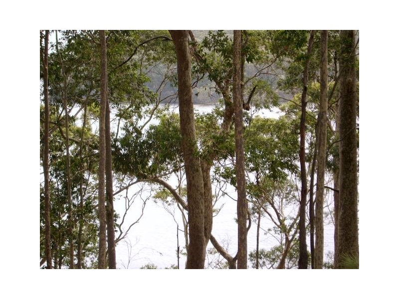 Kings Point NSW 2539