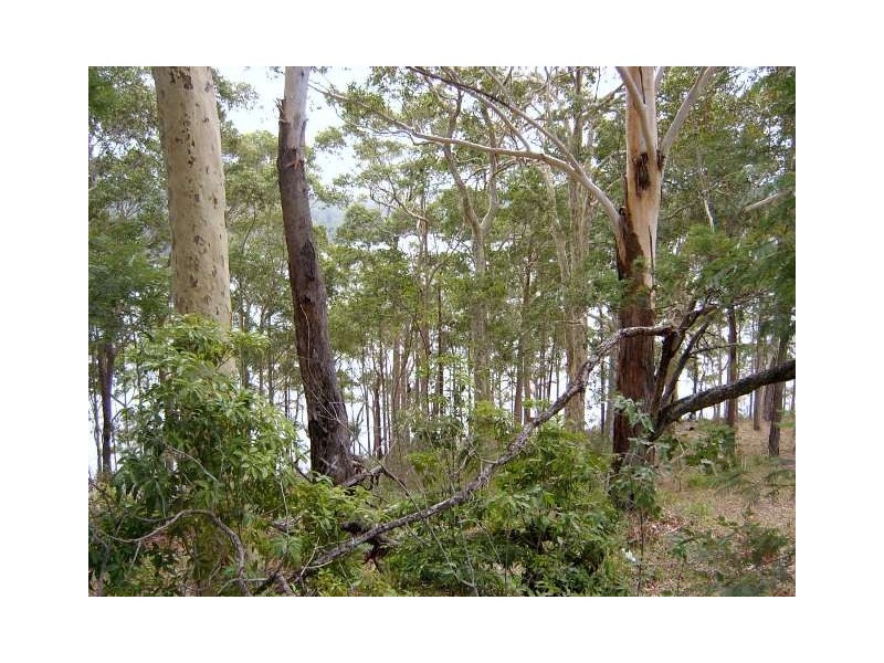 Kings Point NSW 2539