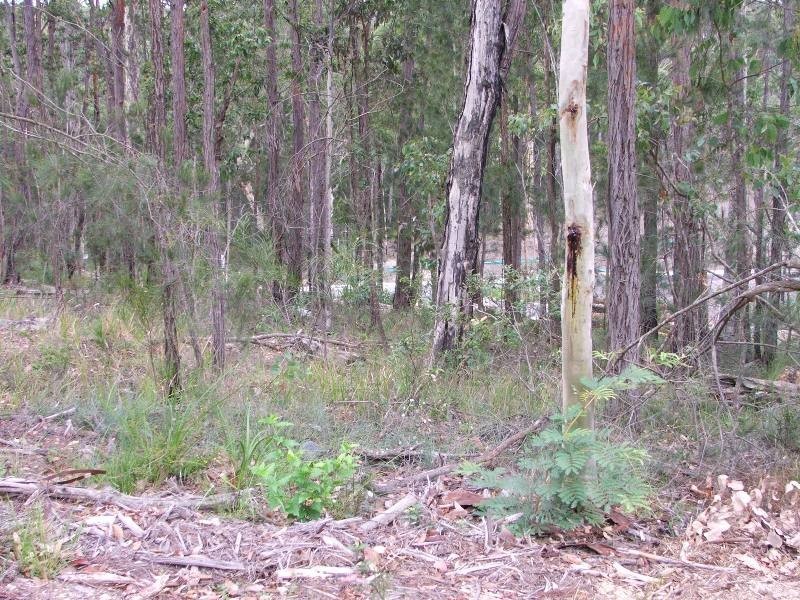Malua Bay NSW 2536