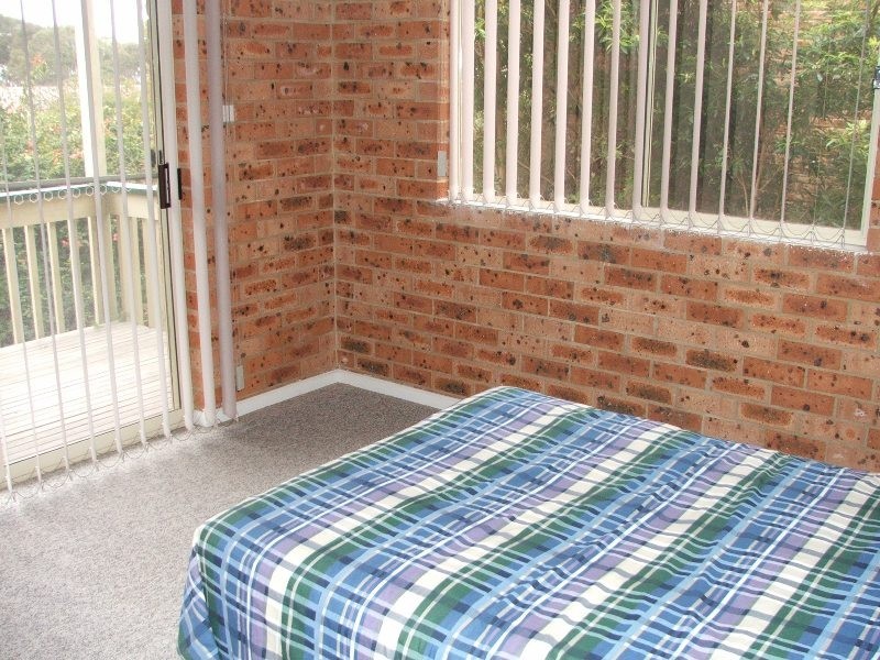 Lilli Pilli NSW 2536