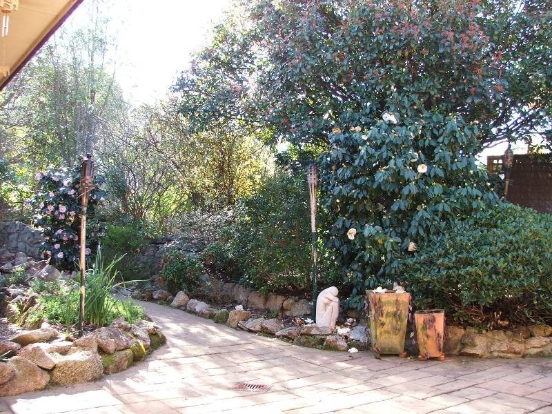 Catalina NSW 2536