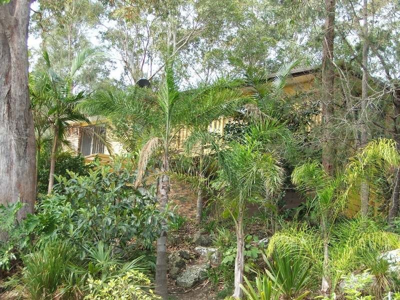 Kings Point NSW 2447
