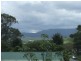 Milton NSW 2538