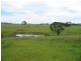 Milton NSW 2538