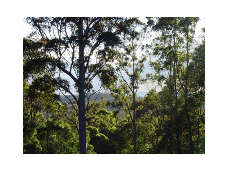 Termeil NSW 2539