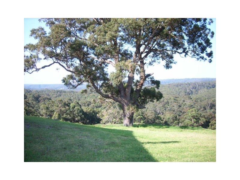 Yatte Yattah NSW 2539