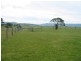 Milton NSW 2538