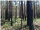 Sassafras NSW 2622