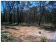 Sassafras NSW 2622
