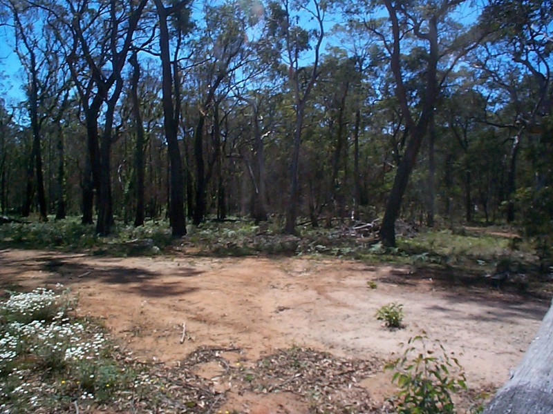 Sassafras NSW 2622