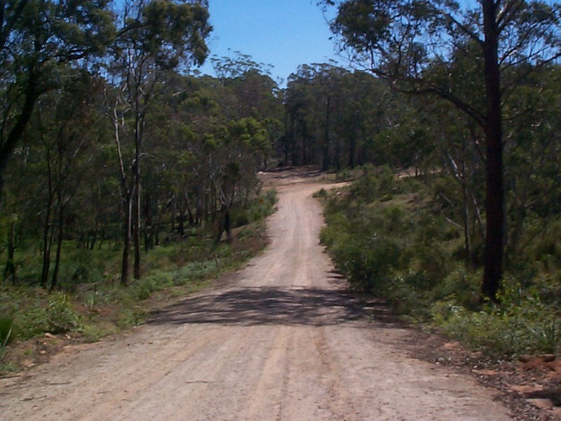 Sassafras NSW 2622