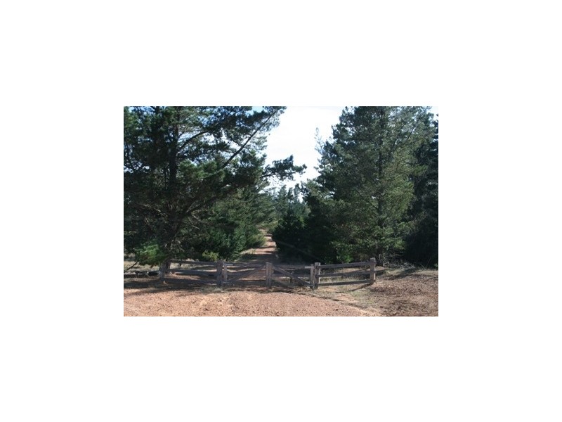 Braidwood NSW 2622