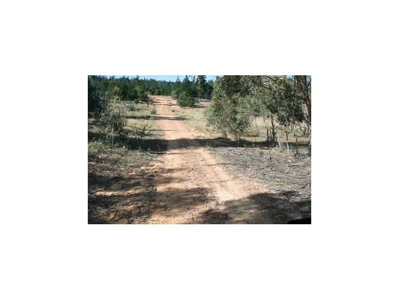 Braidwood NSW 2622
