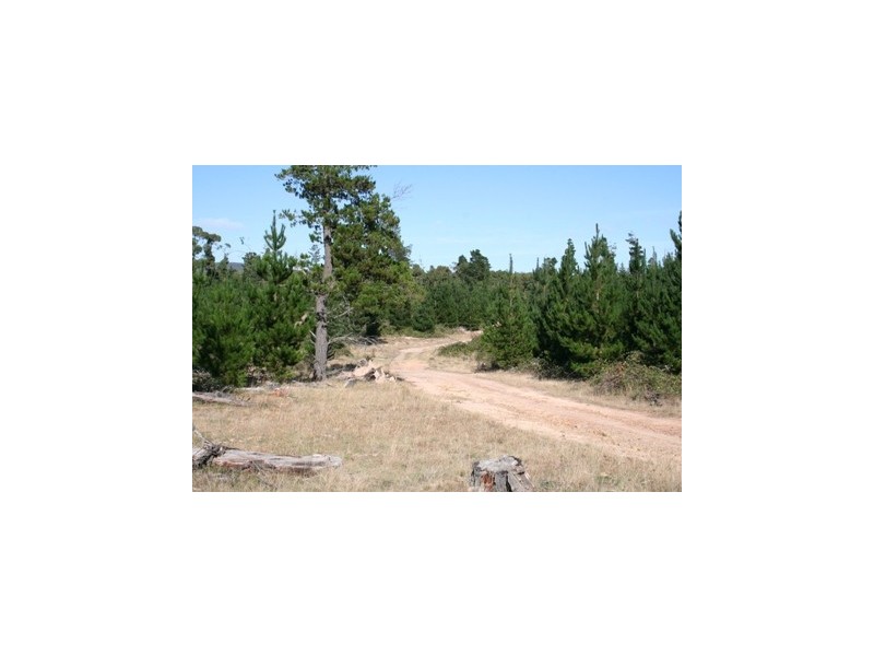 Braidwood NSW 2622
