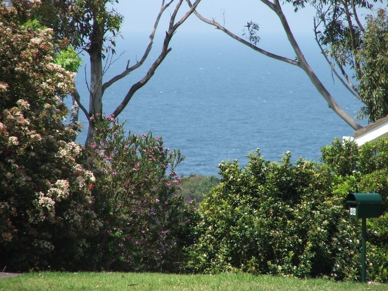 Mollymook NSW 2539