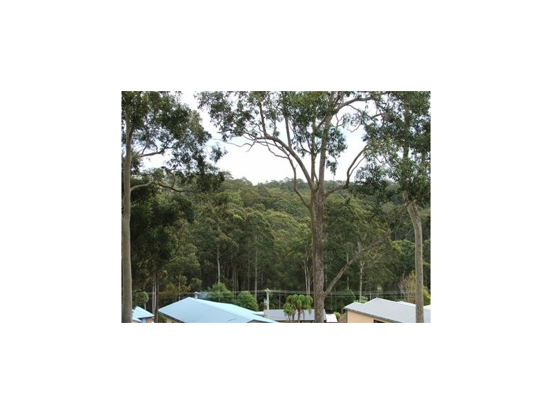 Catalina NSW 2536