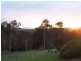 Nelligen NSW 2536