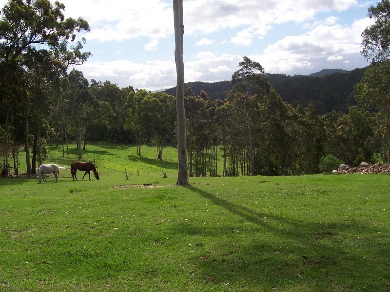 Nelligen NSW 2536