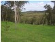 Nelligen NSW 2536