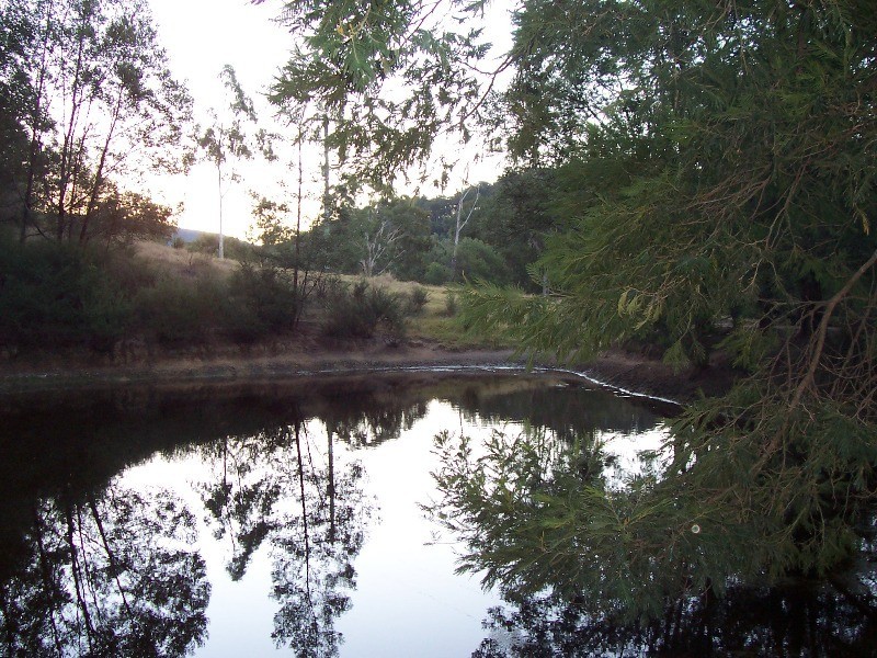 Nelligen NSW 2536