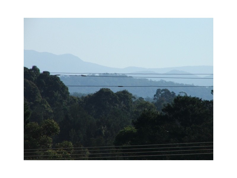 Catalina NSW 2536