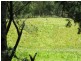 Nelligen NSW 2536