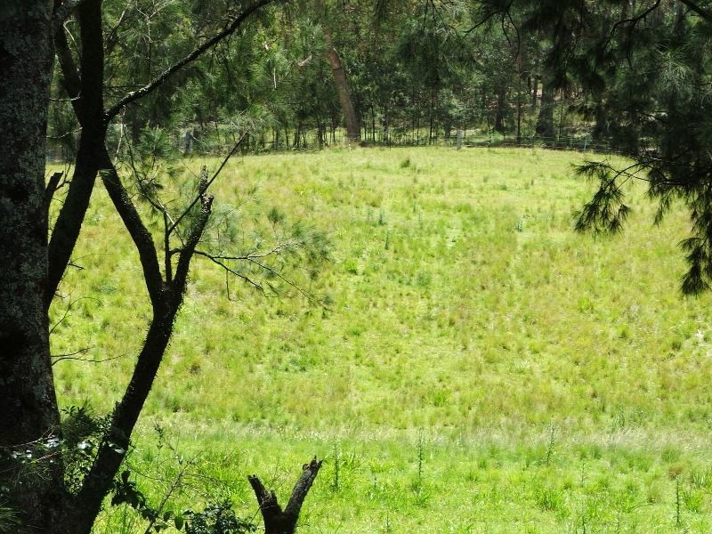 Nelligen NSW 2536