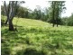 Nelligen NSW 2536
