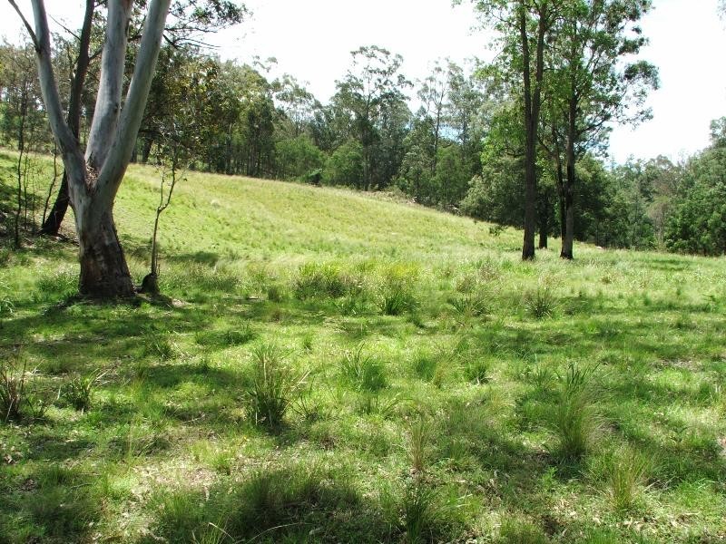 Nelligen NSW 2536