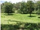 Nelligen NSW 2536
