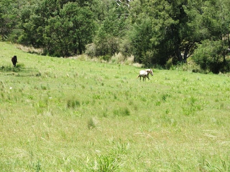 Nelligen NSW 2536