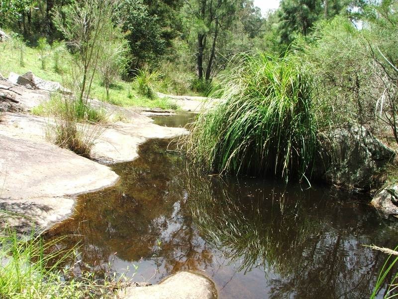 Nelligen NSW 2536