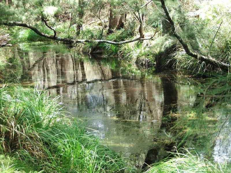 Nelligen NSW 2536