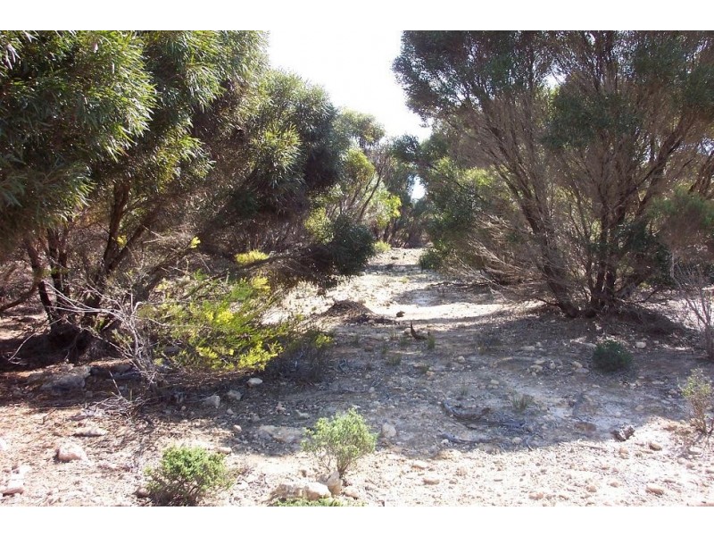 Lot 10 North Cape Road, Bay Of Shoals SA 5223