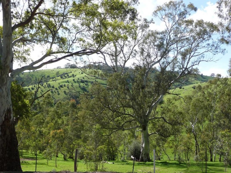 496A Main Road, Coromandel Valley SA 5051