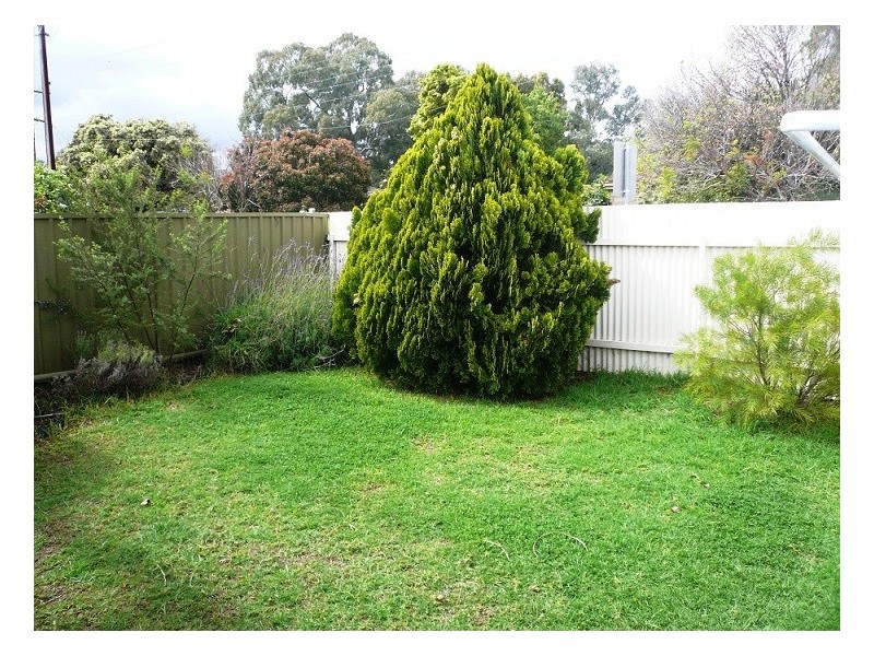58 Tutt Avenue, Kingswood SA 5062