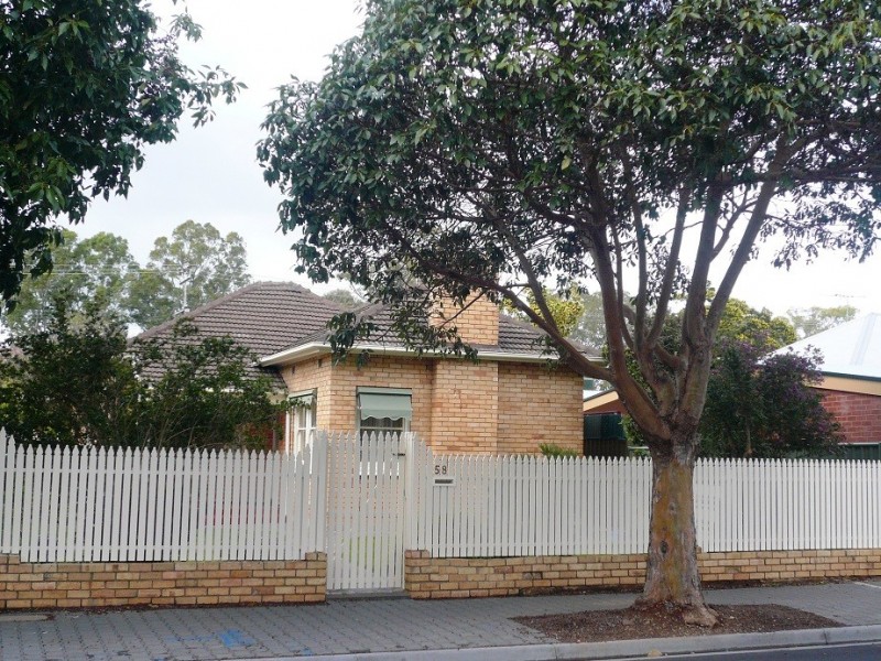 58 Tutt Avenue, Kingswood SA 5062
