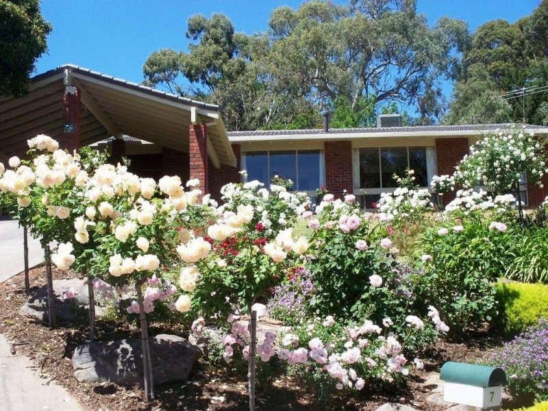 7 Almond Court, Coromandel Valley SA 5051