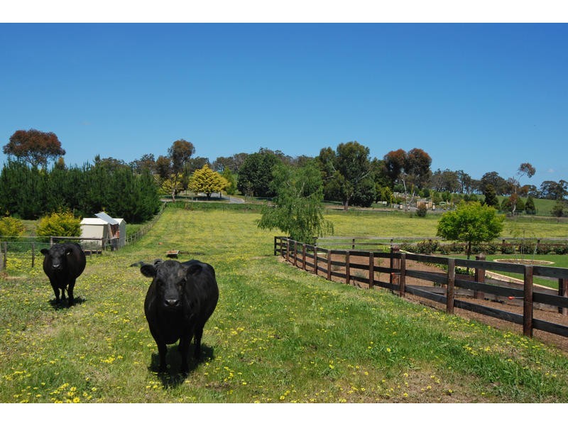 Lot 202 Gumeracha Road, Lobethal SA 5241