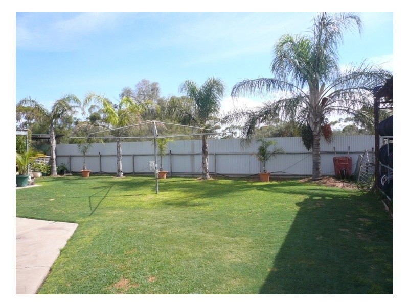 2 Federal Street, Morgan SA 5320