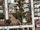 61 Glyde Street, Beulah Park SA 5067