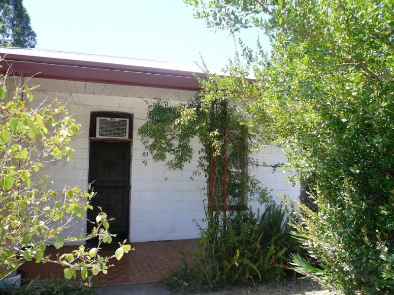 61 Glyde Street, Beulah Park SA 5067