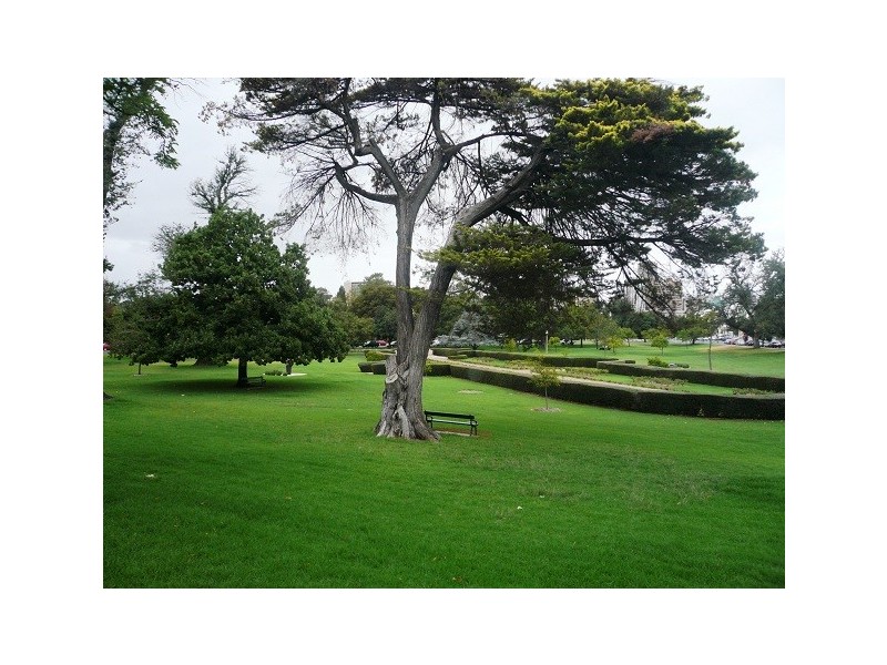 13/11 Pennington Tce, North Adelaide SA 5006